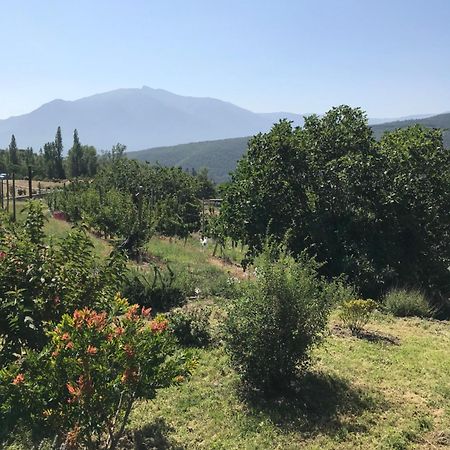 Els Pirineus Apartamento Moltig les Bains Exterior foto
