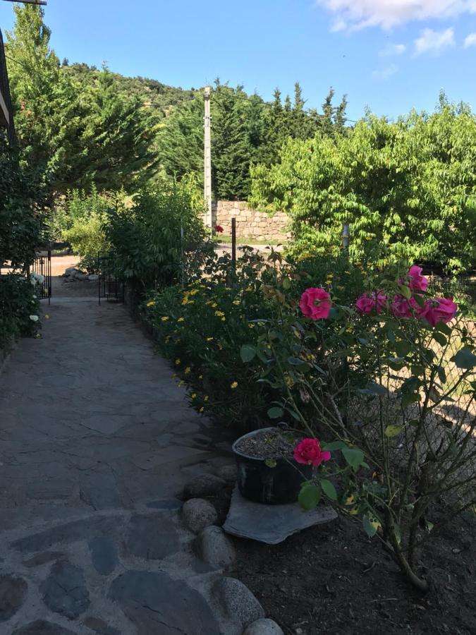 Els Pirineus Apartamento Moltig les Bains Exterior foto