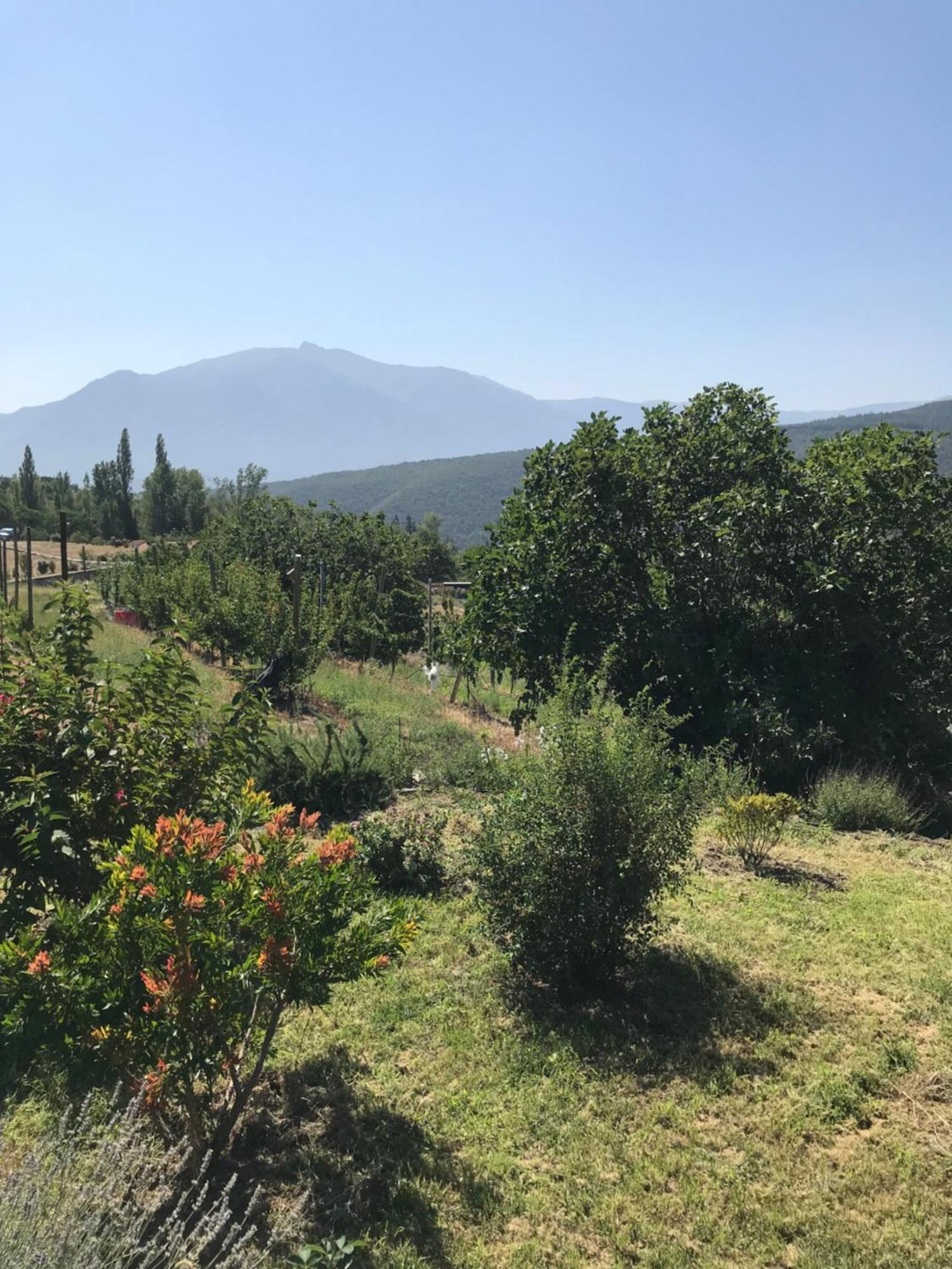 Els Pirineus Apartamento Moltig les Bains Exterior foto